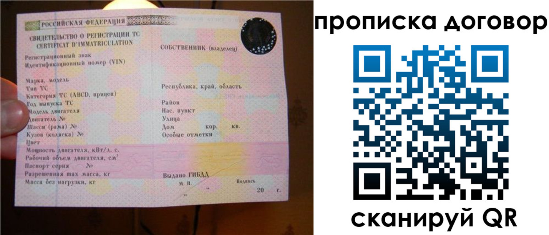 временная регистрация поиск в Александрове